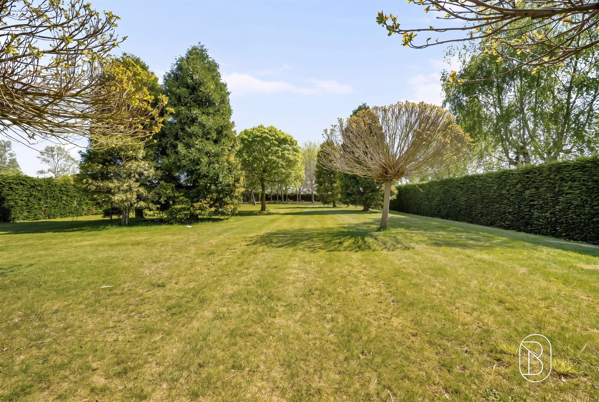 Perfect onderhouden grote villa op 3000m2. - foto 4