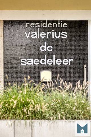Centraal gelegen gelijkvloers appartement in de nabijheid van winkels, openbaar vervoeren en scholen aan de buienrand van Aalst.<br />Deze is gelegen in residentie Valerius De Saedeleer aan het rustige en groene Park Terlinden.<br /><br />Het appartement beschikt over een inkom met vestiaire, een lichtrijke leefruimte, een moderne en recent vernieuwde keuken (2025), een badkamer met douche-in-bad, een apart toilet, 1 volwaardige slaapkamer en een kelder-berging.<br />Tot slot is er nog een gezamenlijke fietsenberging, een gemeenschappelijke tuin en parkeerplaatsen alsook het prachtige uitzicht op het park.<br /><br />CV op gas. EPC: 320 kWh/m²/j (label D) en UC: 2327503-RES-1. <br />Stedenbouwkundige inlichtingen in aanvraag. Totale bewoonbare opp is bruto.<br />Kleine huisdieren toegelaten mits ze geen overlast veroorzaken volgens basisakte.<br />Voor verdere inlichtingen, neem vrijblijvend contact op met Marik op het nummer 052/21 65 51 of mail naar info@immomiddelpunt.b