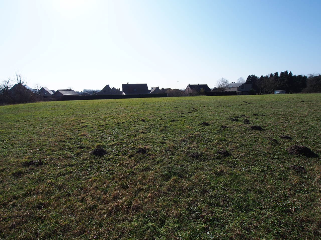 Recreatiegrond te koop te Betekom - foto 5