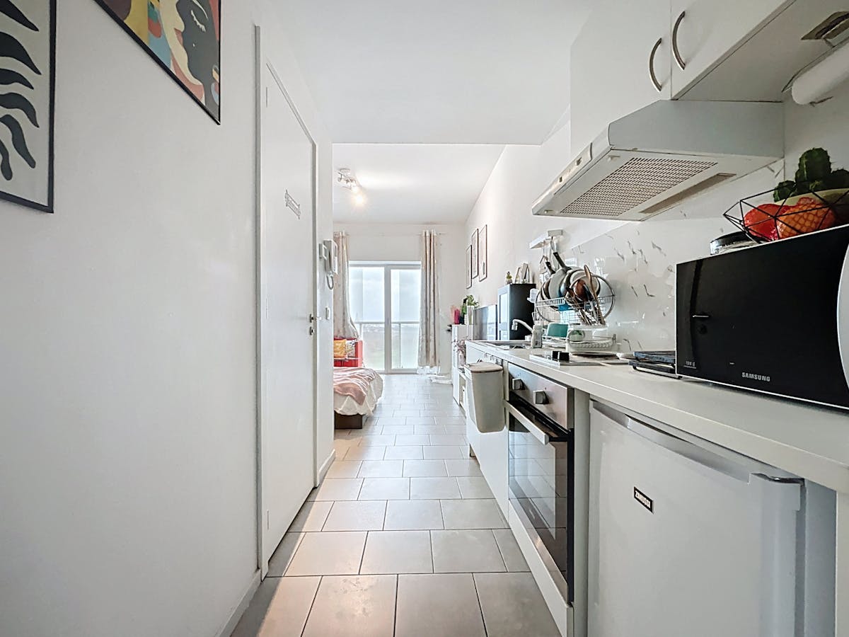 Instapklare Studio met terras te koop in de Parktoren Antwerpen - foto 1