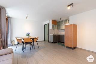 Dit leuke appartement bevindt zich in de recente residentie 'Mary Luz' te Nieuwpoort-Bad.<br />Door deze <strong>absolute topligging</strong> hoeft u geen straat over te steken om de Zeedijk te bereiken. De overige winkels bevinden zich eveneens <strong>op wandelafstand</strong>.<br /><br />De indeling is als volgt:
<ul>
	<li>Inkomhal;</li>
	<li>Afzonderlijk toilet;</li>
	<li>Mooie leefruimte met schuifraam naar het terras;</li>
	<li>Terras met <strong>prachtig zijdelings zeezicht</strong>;</li>
	<li>Open, volledig ingerichte keuken;</li>
	<li>Badkamer met wastafel en douche;</li>
	<li><strong>Volwaardige slaapkamer</strong> met plaats voor dubbel bed;</li>
</ul>
Extra troeven:

<ul>
	<li>Kelderberging <strong>inbegrepen</strong> bij aankoop;</li>
	<li><strong>Topligging</strong>;</li>
	<li>Gemeenschappelijke fietsenberging;</li>
</ul>
<br />Aarzel niet en kom snel langs voor een bezoek.