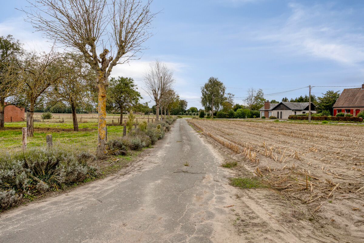 Authentieke hoeve met bijgebouwen in Baliebrugge op een oppervlakte van 7937 m² - foto 4