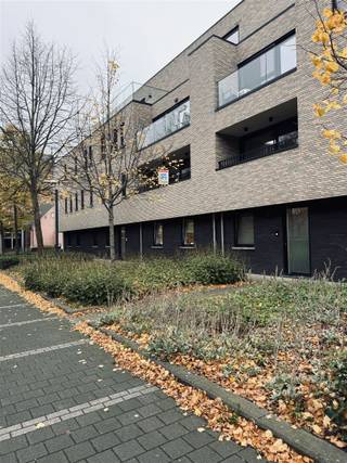 Dit volledig geschilderd appartement is gelegen op de eerste verdieping in het centrum van Melsele. U beschikt over een mooi terras en...