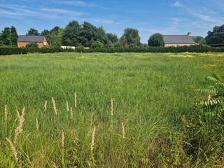 <p><span>Op een gunstige locatie te Schriek (Heist-op-den-Berg) bevindt zich deze bouwgrond voor open bebouwing op een perceel van 1035m². </span></p><p><span>U bevindt zich hier tussen twee centrale dorpen Schriek en Booischot (Pijpelheide) met winkels, scholen en lokale handelaars op fietsafstand. Nabijheid van Booischot station. Gunstige verbinding naar Aarschot en bij uitbreiding Leuven. Het bewijs dat landelijk wonen met een goede verbinding hand in hand kunnen gaan. </span></p><p><span>Deze bouwgrond gelegen rechts naast nummer 49 en aangeduid als lot 2 op het goedgekeurde verkavelingsplan biedt zeer mooie bouwmogelijkheden. <br /><br /></span></p><p><span>Bouwvoorschriften</span><span>:<br />- Bouwgrond voor open bebouwing, vrijstaande ééngezinswoning<br />- Eengezinswoningen, met inbegrip van zorgwoningen worden toegelaten.<br />- Functies complementair aan het wonen, zoals kantoorfunctie, vrij beroep en dienstverlening zijn toegelaten (zie voorwaarden)<br />- Bouwbreedte max. 16,03m<br />- Bouwdiepte max. 17m<br />- Max. nokhoogte is 11m<br />- Dakvorm plat of schuin dak toegelaten<br />- Bijgebouw max 75 m² toegelaten</span></p><p><span>Troeven:</span></p><p><span>- Bouwgrond voor vrijstaande woning<br />- Mooi onderhouden bouwgrond, bouwrijp<br />- Ruim perceel van 10a35ca<br />- Goedgekeurde verkaveling<br /><br /></span><span>Contacteer ons kantoor Dupont Vastgoed voor meer informatie op 015 15 15 15.</span></p><p><span> </span></p>