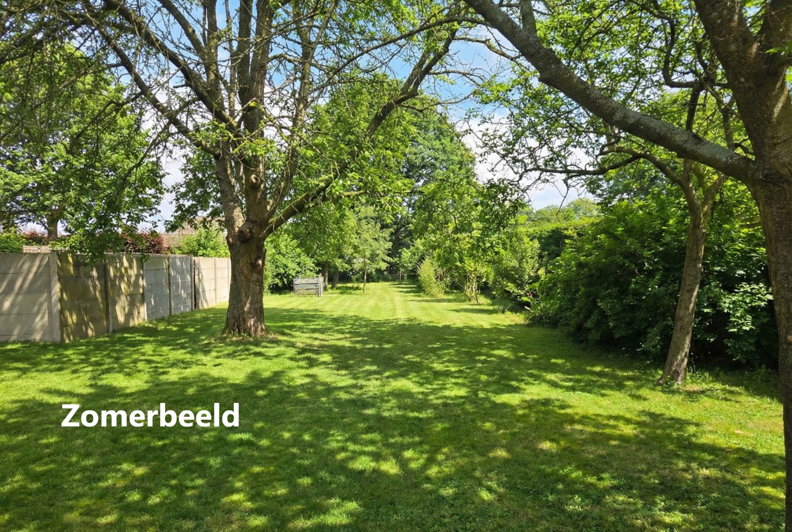 Land for sale in Westerlo - photo 5