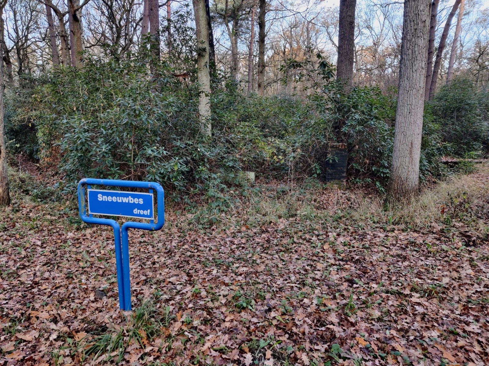 Terrain à vendre à Brasschaat - photo 4