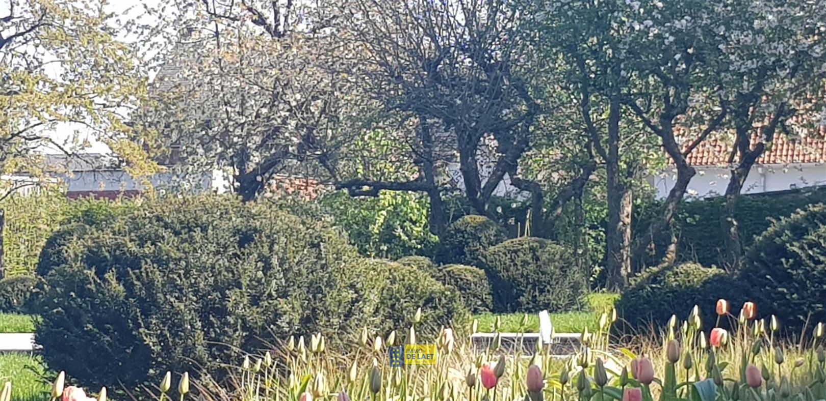 Projectgrond - foto 2