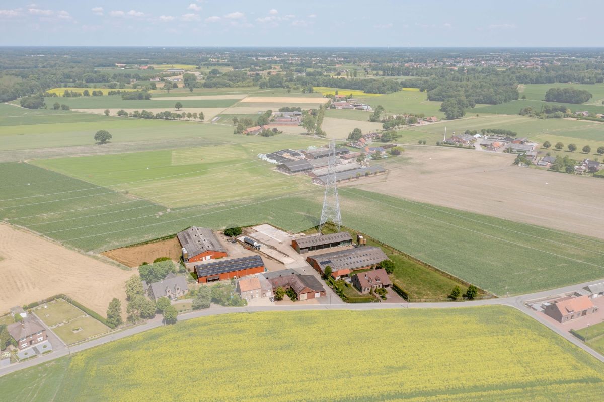 Boerderij te koop te Kinrooi - foto 1