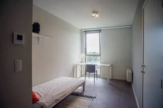 Met een ligging nabij centrum Brugge, bieden wij binnen residentie B/KOT een gemeubelde studentenkamer te koop aan.Deze kamers zijn gelegen aan het station van Brugge in de Frank Van Ackerpromenade, ideale ligging voor elke student die op kot wil in Brugge. De studentenkamer is voorzien van een privébadkamer inclusief douche, lavabo en toilet. Er is een gemeenschappelijke keuken. Deze kamer is gelegen op de 2de verdieping en heeft een bewoonbare oppervlakte van 16.64m2.B/KOT beschikt over een private fietsenstalling en lichtrijke gemeenschappelijke ruimte waar studenten gezellig kunnen vertoeven. De verhuur verloopt via een poulesysteem waardoor u als eigenaar zorgeloos van een gegarandeerd rendement geniet. De inwonende Student Coach vormt het aanspreekpunt voor de studenten die binnen B/KOT een kamer huren.Algemeen: - Lichtrijke kamer;- Zorgeloos en gegarandeerd rendement (poulesysteem);- Uitstekende ligging en bereikbaarheid (station, expresweg, parking..); - Inwonende studentcoach;