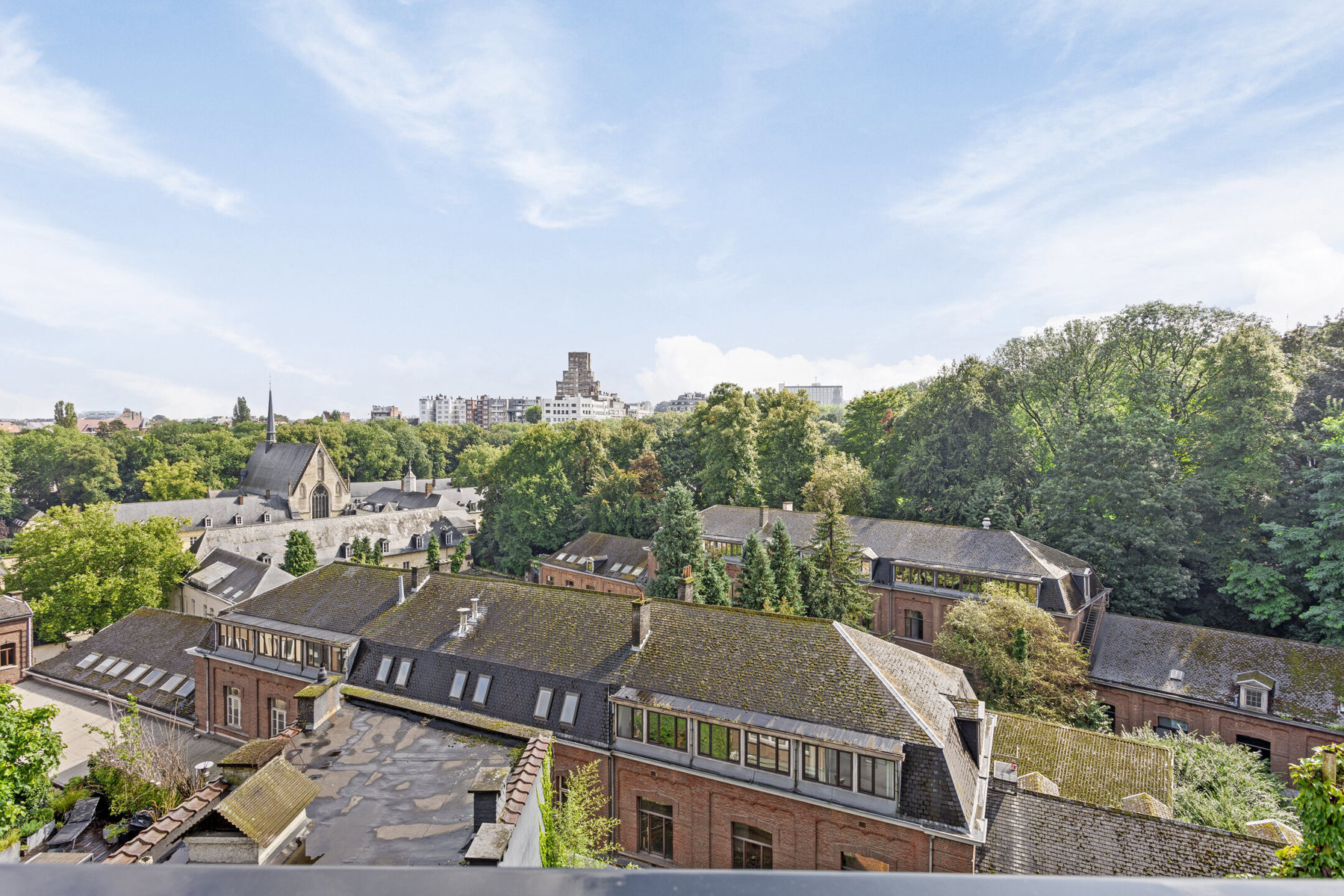 House for sale in Brussels with 5 bedrooms - photo 3