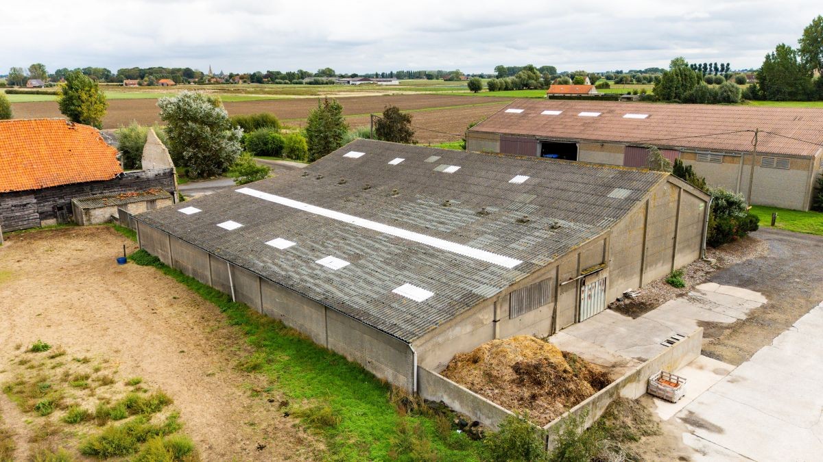 Hoeve te koop op circa 2 ha te Vinkem - foto 4