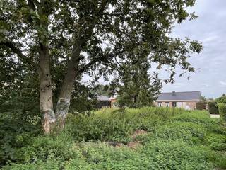 Land for sale in Hulshout