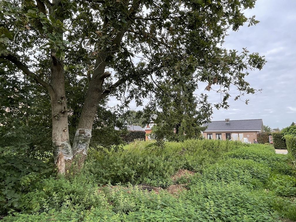 Land for sale in Hulshout - photo 3
