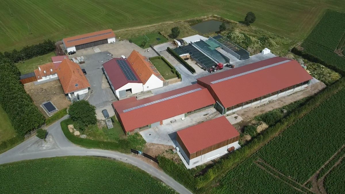 Prachtig melkveebedrijf met vakantiewoningen te koop te Koekelare - Bovekerke - foto 2