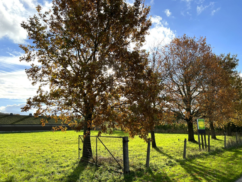 mooi perceel bouwgrond in Houthulst-Merkem - foto 2