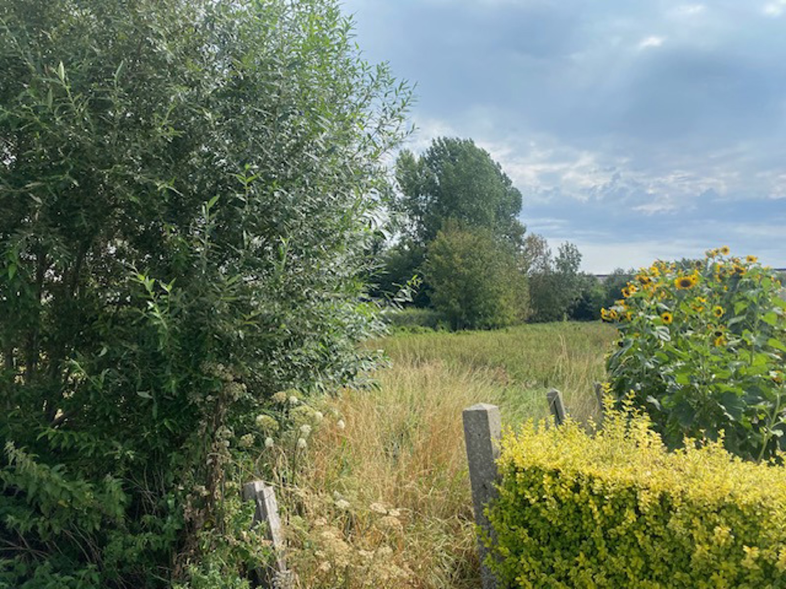 Bouwgrond te Zedelgem - foto 4