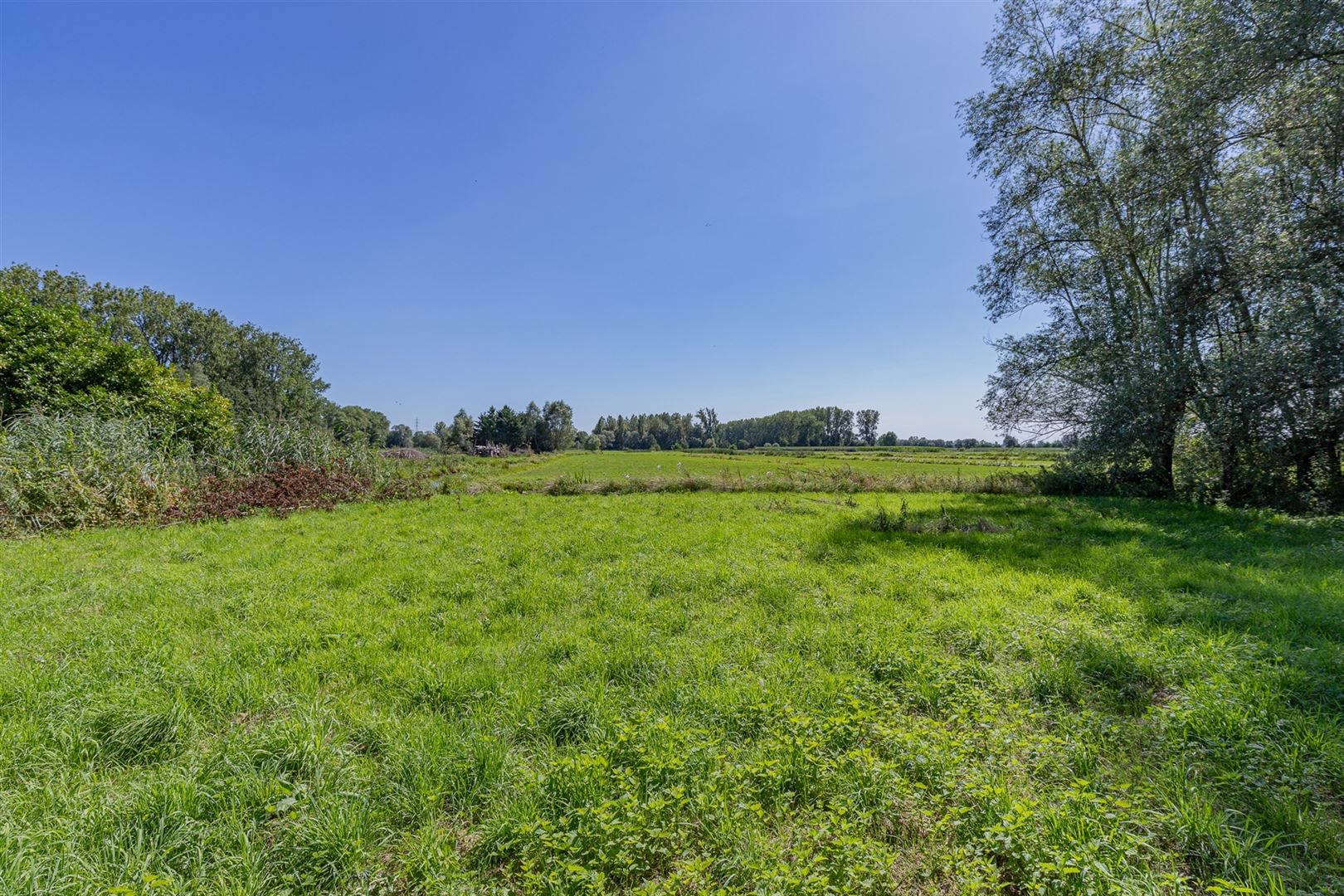 Land for sale in Dendermonde - photo 3