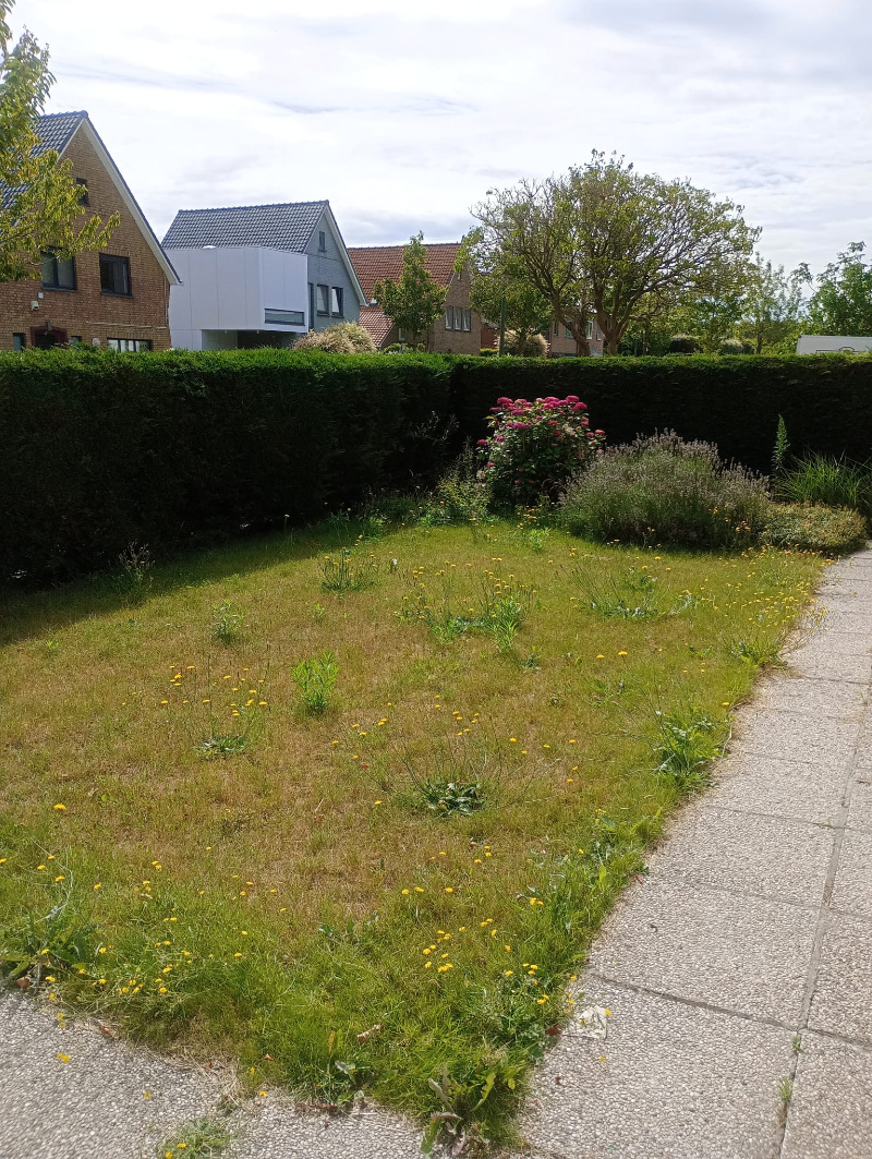 Te renoveren woning op Toplocatie - foto 4