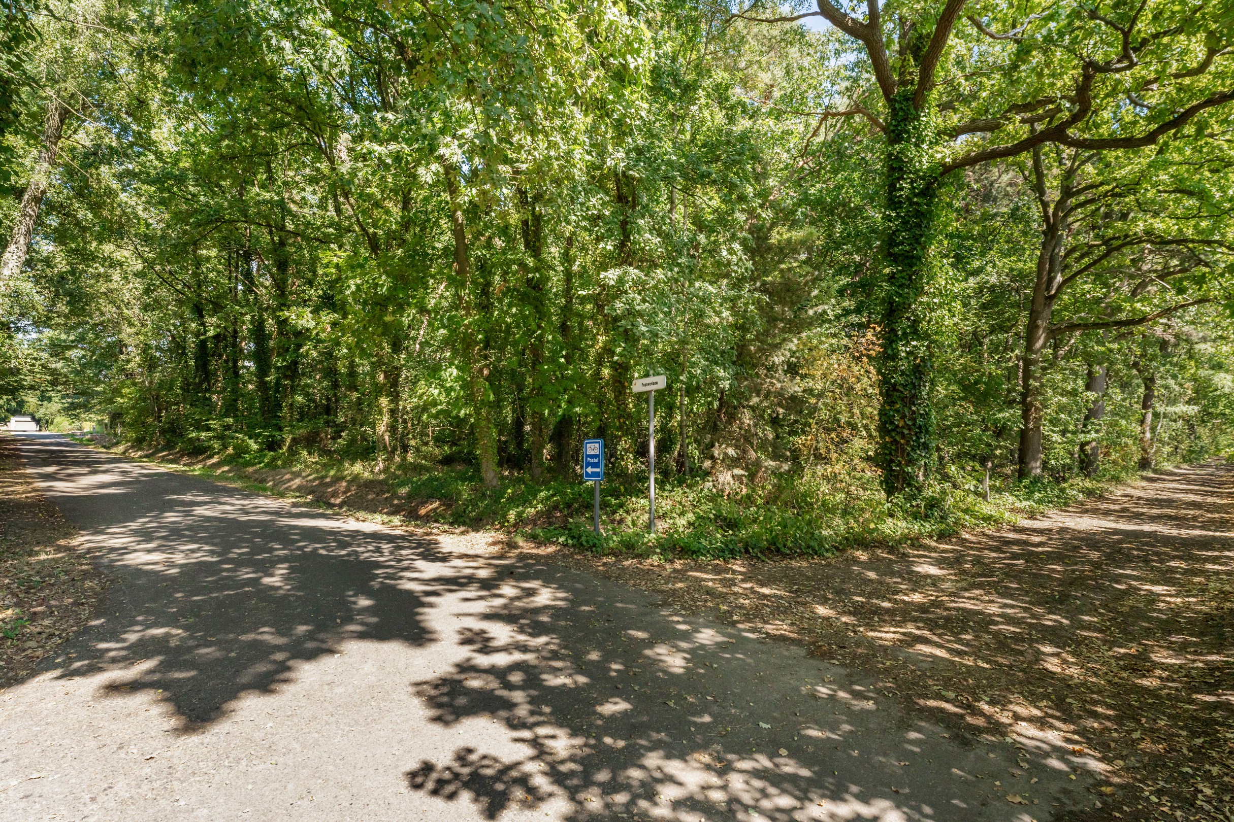 Bouwgrond in een bosrijke omgeving met een oppervlakte van 6473 m² te Retie - foto 4