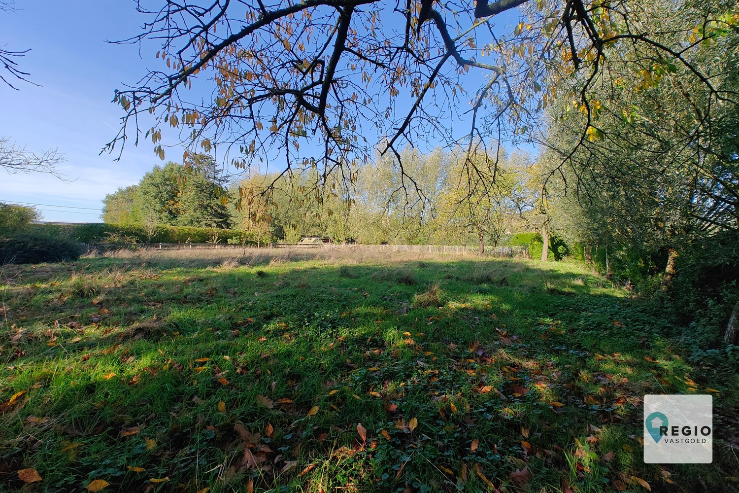 Heropbouwproject – landelijk-moderne villa met bijgebouw op 3.110 m² te Merendree - foto 5