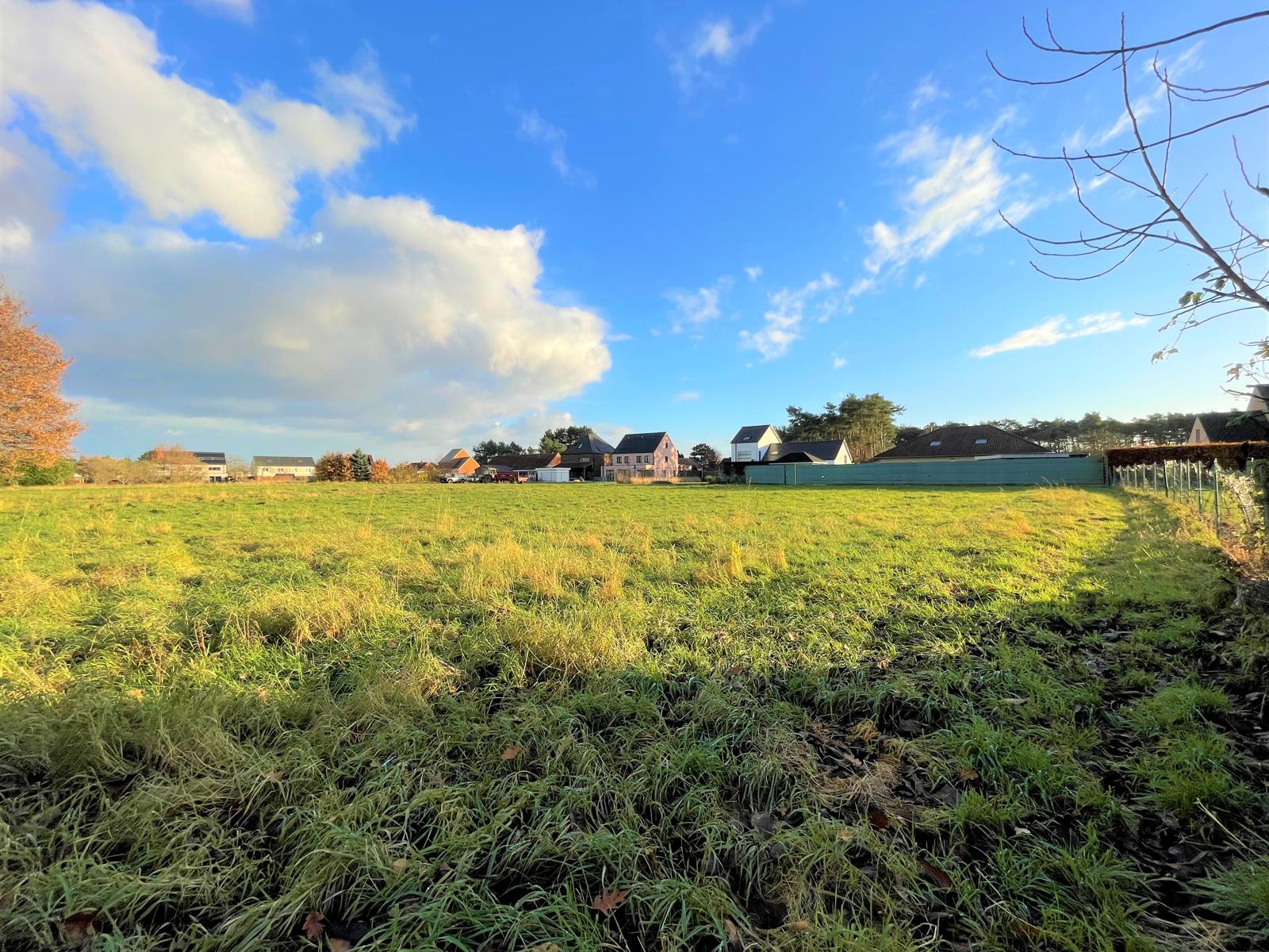 RUSTIG GELEGEN PERCEEL WEILAND OP 8661M² - foto 1