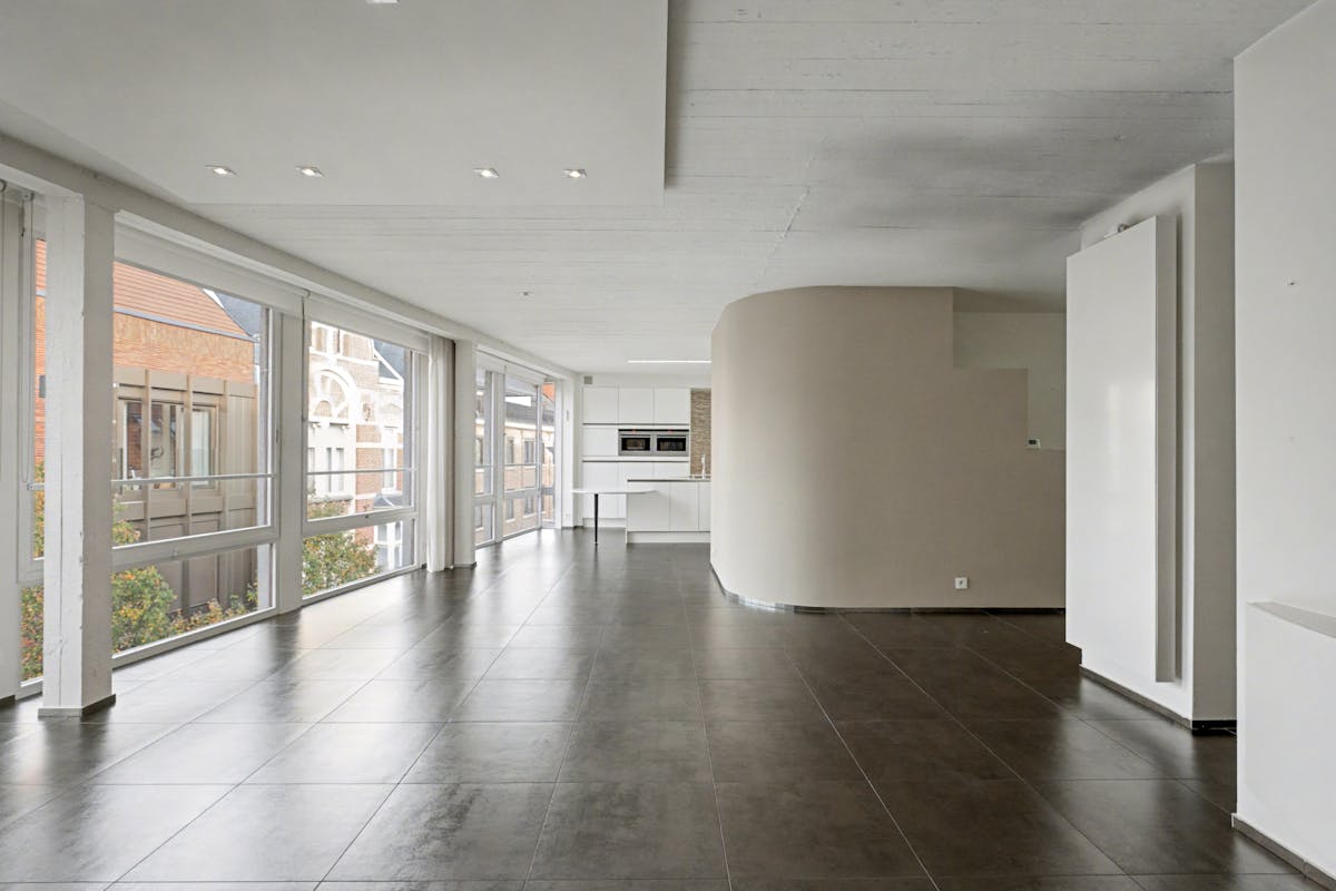 Exclusief duplex-penthouse met adembenemend terras in hartje Hasselt - foto 3