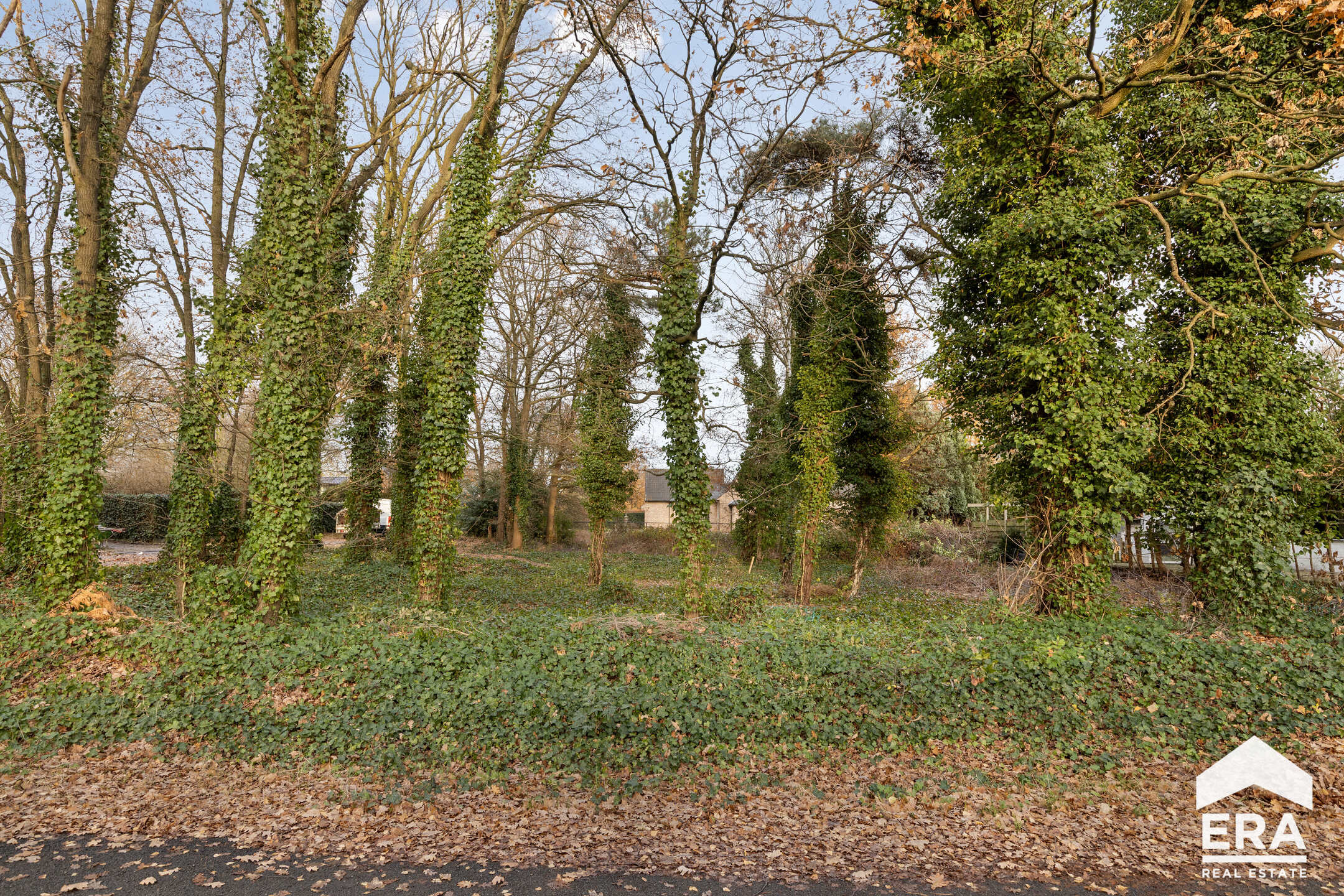 Terrain à vendre à Lommel - photo 2