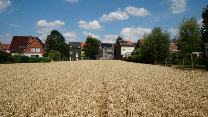 Bouwgrond van 7 are 40 ca voor half-open-bebouwing - photo 4