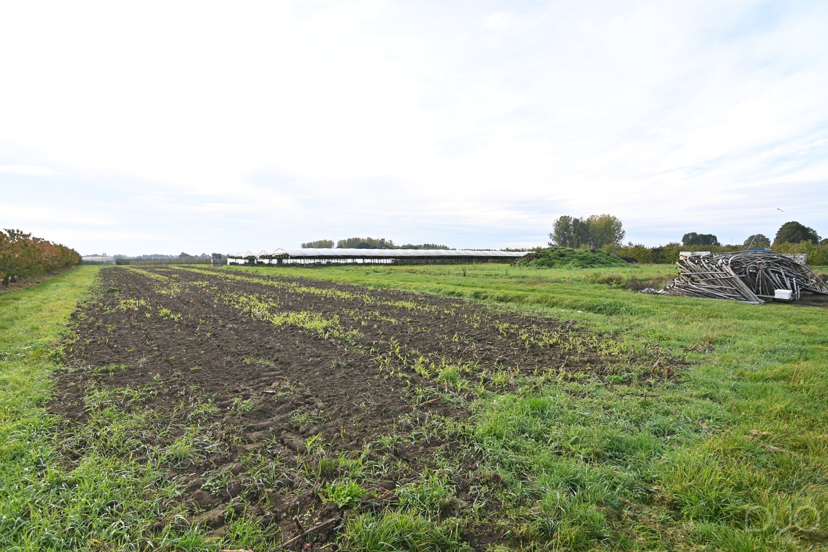 Pachtvrije landbouwgrond van 3ha 65a 46ca met volledige uitrusting – Gippershovenstraat, Zepperen - foto 4