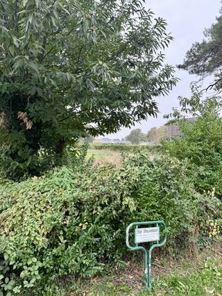 🌳 Ruim perceel bouwgrond te koop in groene omgeving te Zoersel (1827 m²)Bent u op zoek naar een prachtige plek om uw droomwoning te realiseren? Dan...