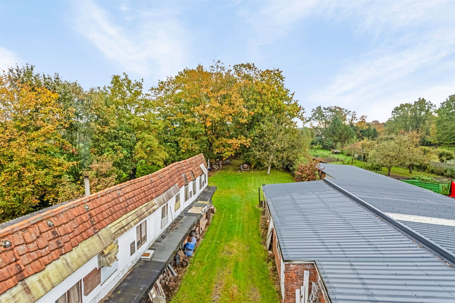 Uniek perceel van 3.990 m² met potentieel in Westmalle - foto 5
