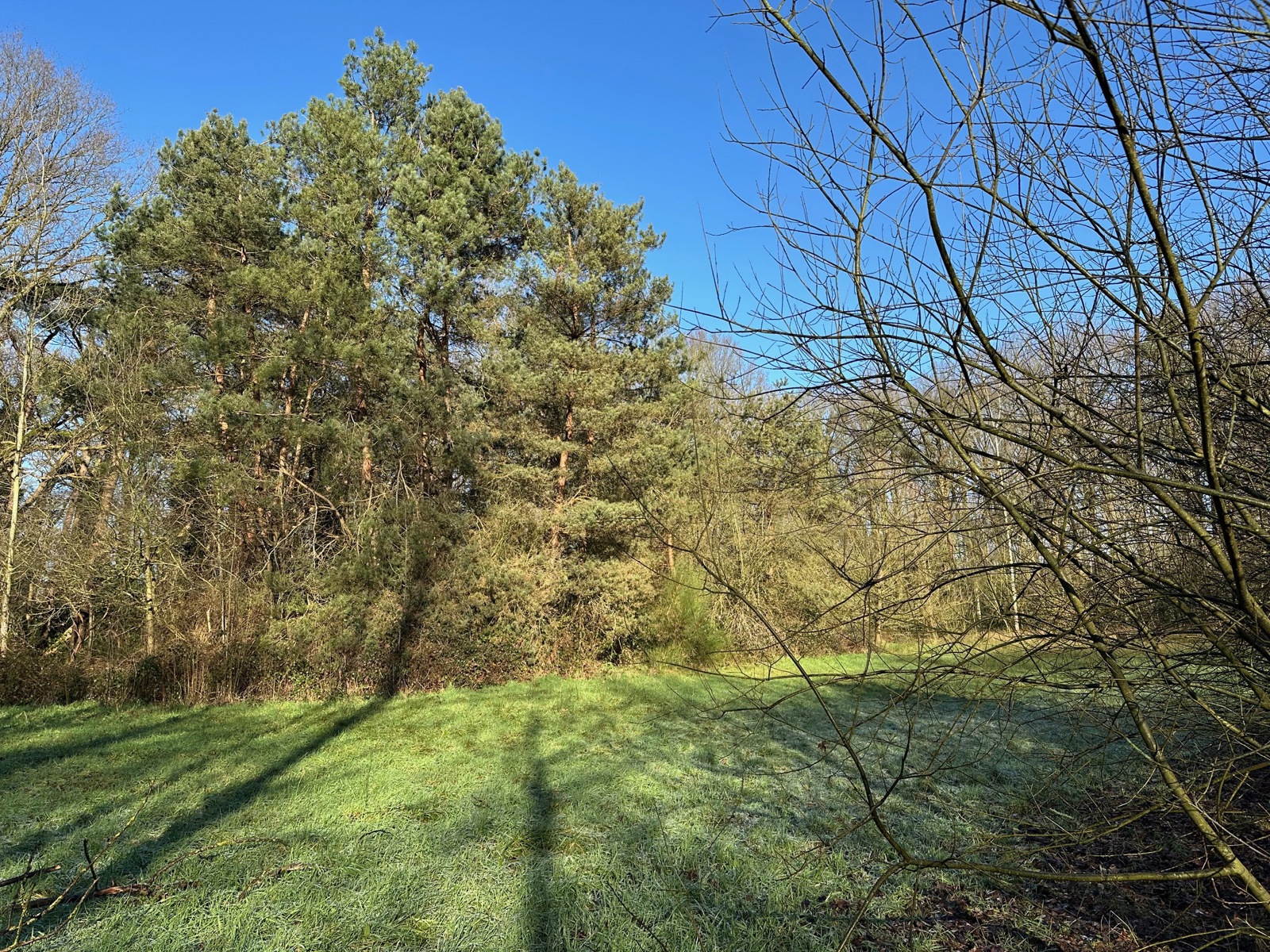 Land for sale in Wuustwezel - photo 5