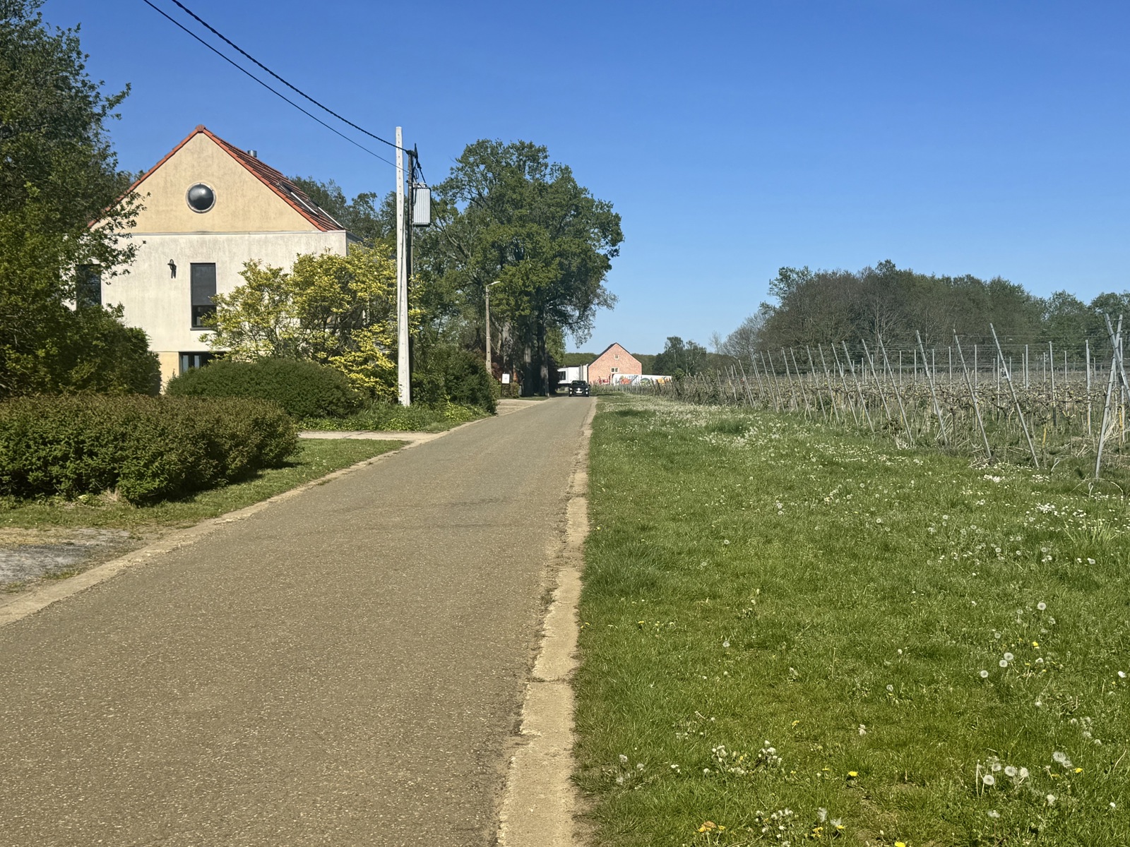Huis te koop in Tielt-Winge met 3 slaapkamers - foto 5