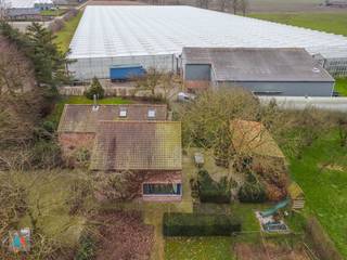 Uitstekend gelegen en volledig uitgerust tuinbouwbedrijf met verwarmde Venlo-serres (18.000m²) geschikt voor moderne groenteteelt. Voorzien...