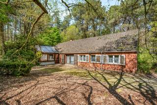 In de stad Geel, palend aan Winkelomheide ligt een domein van 12 hectare, waarvan ca 2 hectare landbouwgrond is. (landbouwgrond optioneel aan te kopen) Op dit domein staat van oudsher een bescheiden, te renoveren woning met drie slaapkamers, een ruime veranda en een inpandige garage. Eveneens staat er een houten chalet met 2 slaapkamers, kelder en garage. Het beschikt over een aangelegde vijver voor zomerse zwempartijen, winters schaatsplezier. De mini-golfbaantjes en het tennisterrein liggen er wat onderkomen bij maar zouden een meerwaarde kunnen zijn. Dit domein biedt privacy, en genieten in de natuur.<br /><br />Ontdek dit zeldzame en uitgestrekte domein, ideaal gelegen in het groene Geel, palend aan het pittoreske Winkelomheide. Met een indrukwekkend perceel van circa 12 hectare (waarvan ca. 2 hectare landbouwgrond), biedt dit eigendom een ongeëvenaarde mate van privacy en een directe verbinding met de natuur. Dit is de ultieme kans voor wie droomt van een exclusief landgoed om te renoveren, te herbestemmen tot een recreatieve oase, of simpelweg te ontsnappen aan de drukte van alledag.<br />De Troeven van het Domein<br />Twee Woongelegenheden met Potentieel:<br />•Hoofdwoning: Een bescheiden, van oudsher aanwezige woning met drie slaapkamers, een ruime veranda en een inpandige garage. Deze woning wacht op een liefdevolle renovatie om te transformeren tot een moderne gezinswoning (houd er rekening mee dat de Vlaamse renovatieverplichting van toepassing kan zijn).<br />•Houten Chalet: Een charmant tweede verblijf met twee slaapkamers, een kelder en een garage, perfect voor gasten, verhuur (mits de bestemming dit toelaat) of als rustige thuiswerkplek.<br />Natuur en Recreatie:<br />•Aangelegde Vijver: Een prachtige waterpartij die uitnodigt tot zomerse zwempartijen, en winters schaatsplezier.<br />•Uitgestrekt Groen: Geniet van de rust en de ruimte die 12 hectare eigen grond u biedt. Een paradijs voor natuurliefhebbers, paardenhouders of rustzoekers.<br />•Recreatieve Faciliteiten: Hoewel het minigolfterrein en de tennisbaan momenteel onderkomen zijn, bieden ze een enorme meerwaarde voor wie het domein nieuw leven wil inblazen met sport- en ontspanningsmogelijkheden.<br />Een Locatie die Inspireert<br />Gelegen in een bosrijke omgeving, garandeert dit domein een idyllische leefomgeving, weg van nieuwsgierige blikken, maar toch dichtbij de nodige voorzieningen.<br />Dit uitzonderlijke vastgoed Is Ideaal voor:<br />•Liefhebbers van ruimte en de natuur.<br />•Kopers die dromen van een privédomein met ontspanningsmogelijkheden.<br />•Professionelen die wonen en werken in een groene omgeving willen combineren.<br />Mis deze unieke kans niet om eigenaar te worden van een exclusief perceel in de regio Geel.<br />Neem contact op voor een bezichtiging en laat u betoveren door de mogelijkheden die dit domein te bieden heeft.<br />OPGELET: de aangekondigde verkoopprijs omvat het bosgebied inclusief de woning en chalet. De landbouwgrond is optioneel aan te kopen.