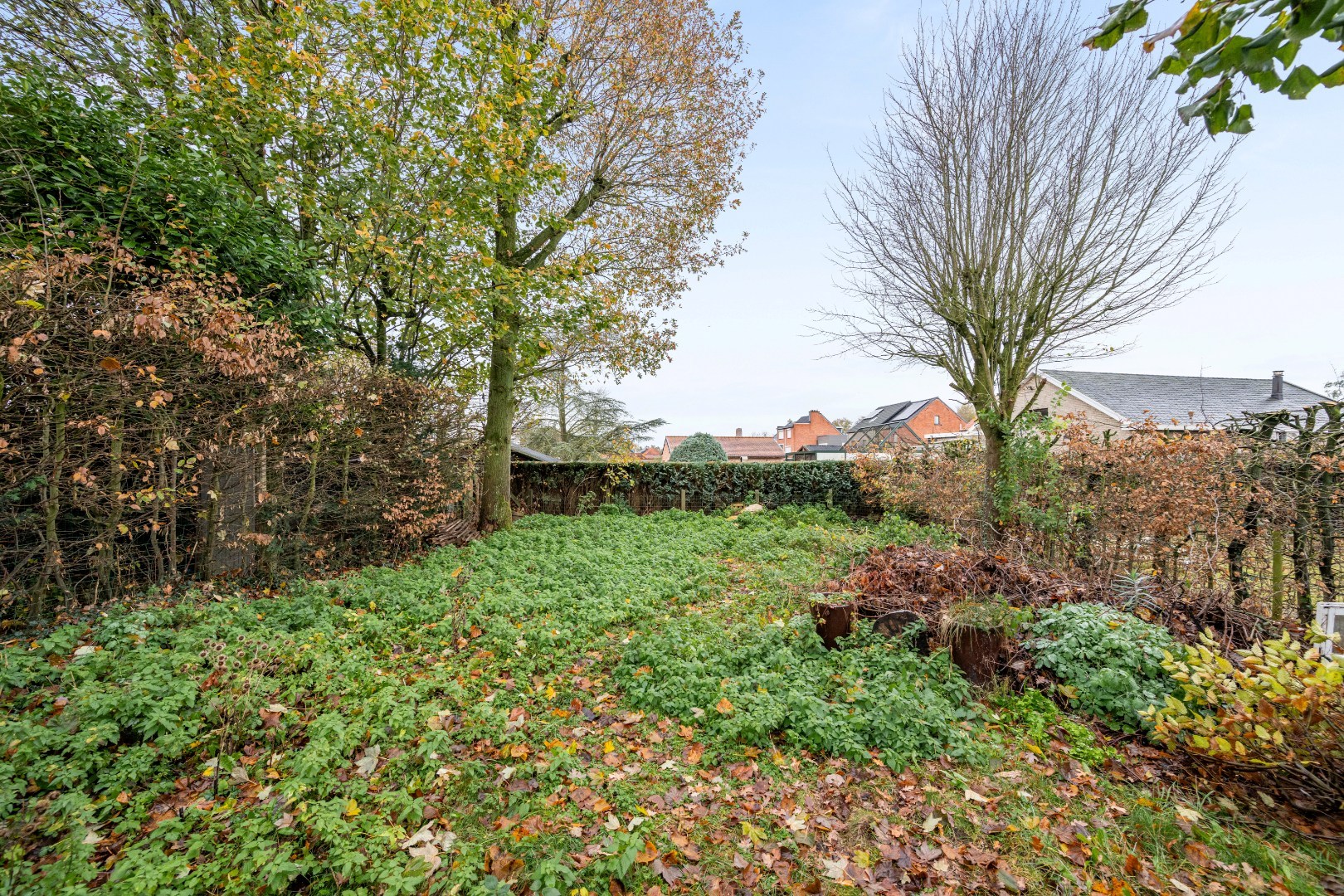 Charmante verder af te werken woning met ruime tuin - foto 4