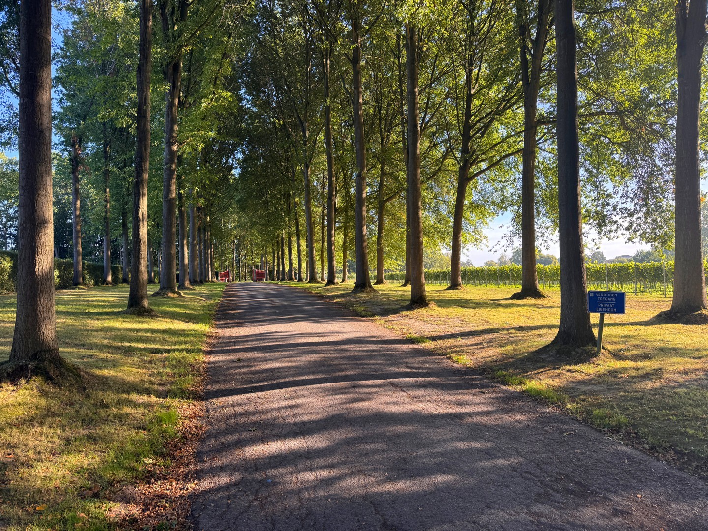Prachtige hoeve met stallingen op bijna 9ha - foto 5