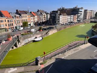 <p>Gemeubelde, volledig gerenoveerde studio van 25 m² te huur aan de Leiekaai in Gent. Gelegen op de derde verdieping met een prachtig vrij uitzicht over het water en op slechts 10 minuten fietsen van het centrum.</p><p>Indeling: leefruimte met open keuken (kookplaat, dampkap, spoelbak en koelkast), afgescheiden slaapruimte en badkamer met douche, lavabo en toilet.</p><p>Troeven:</p><p>Volledig gemeubeld en instapklaar.<br />EPC-label A.<br />Warmtepomp, airco en zonnepanelen.<br />Dubbele geluidswerende beglazing.<br />Fietsenstalling aanwezig.<br />Eigen meters voor water en elektriciteit.<br />Parlofoon en camerabewaking.<br />Vlotte bereikbaarheid via stadsring, R4 en E40.<br />Dicht bij bus, tram en belangrijke fietsroutes.</p><p>Ideaal voor een alleenstaande die comfortabel en energiezuinig wil wonen nabij het centrum van Gent.</p><p>Een bezoek kan uitsluitend via onze website aangevraagd worden: https://www.vastgoeddevos.be/te-huur, klik het pand aan en klik vervolgens op "vraag hier uw bezoek aan".</p>