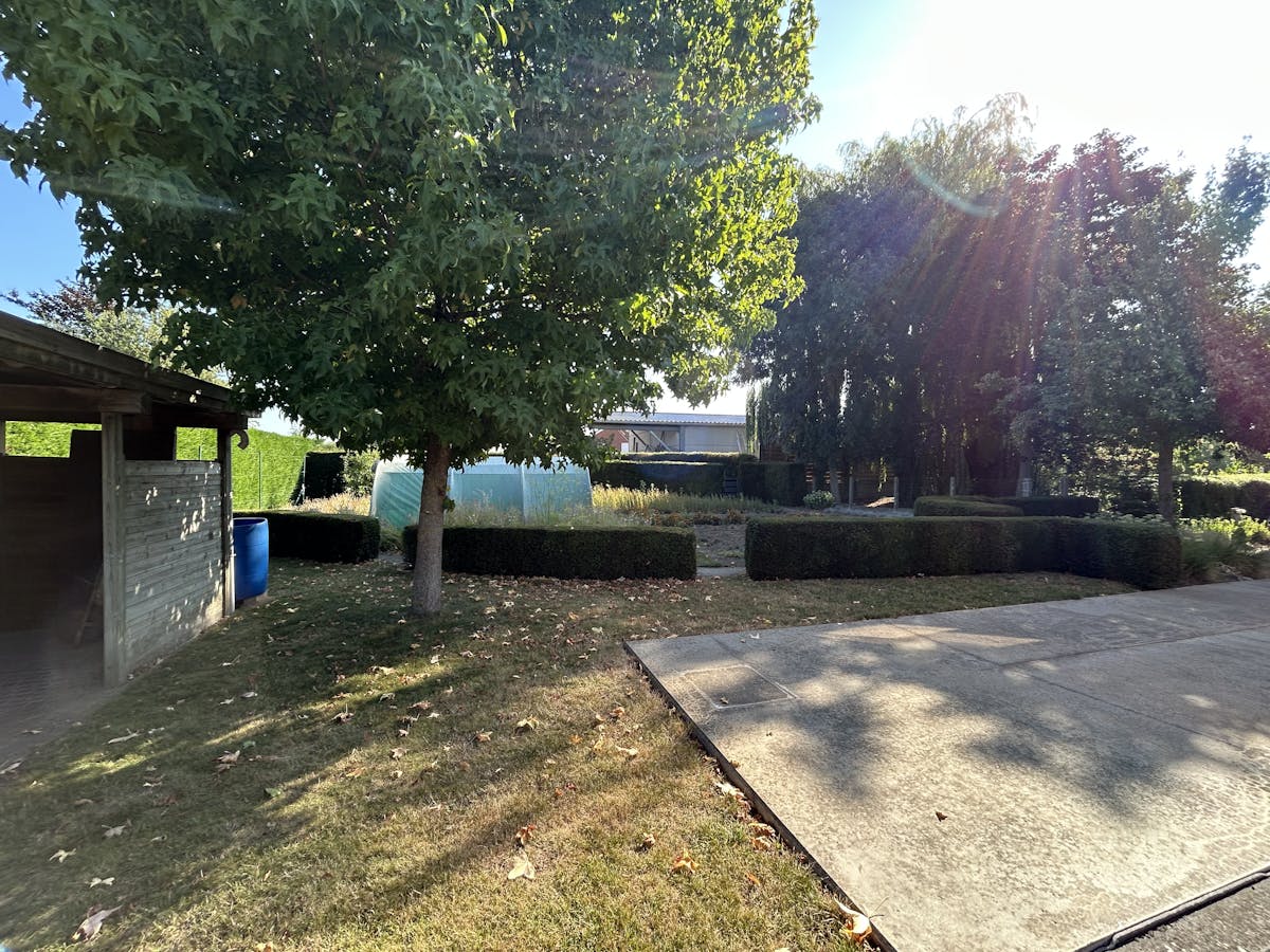 Bouwgrond van 554 m² met uitweg, garage en carport - foto 5