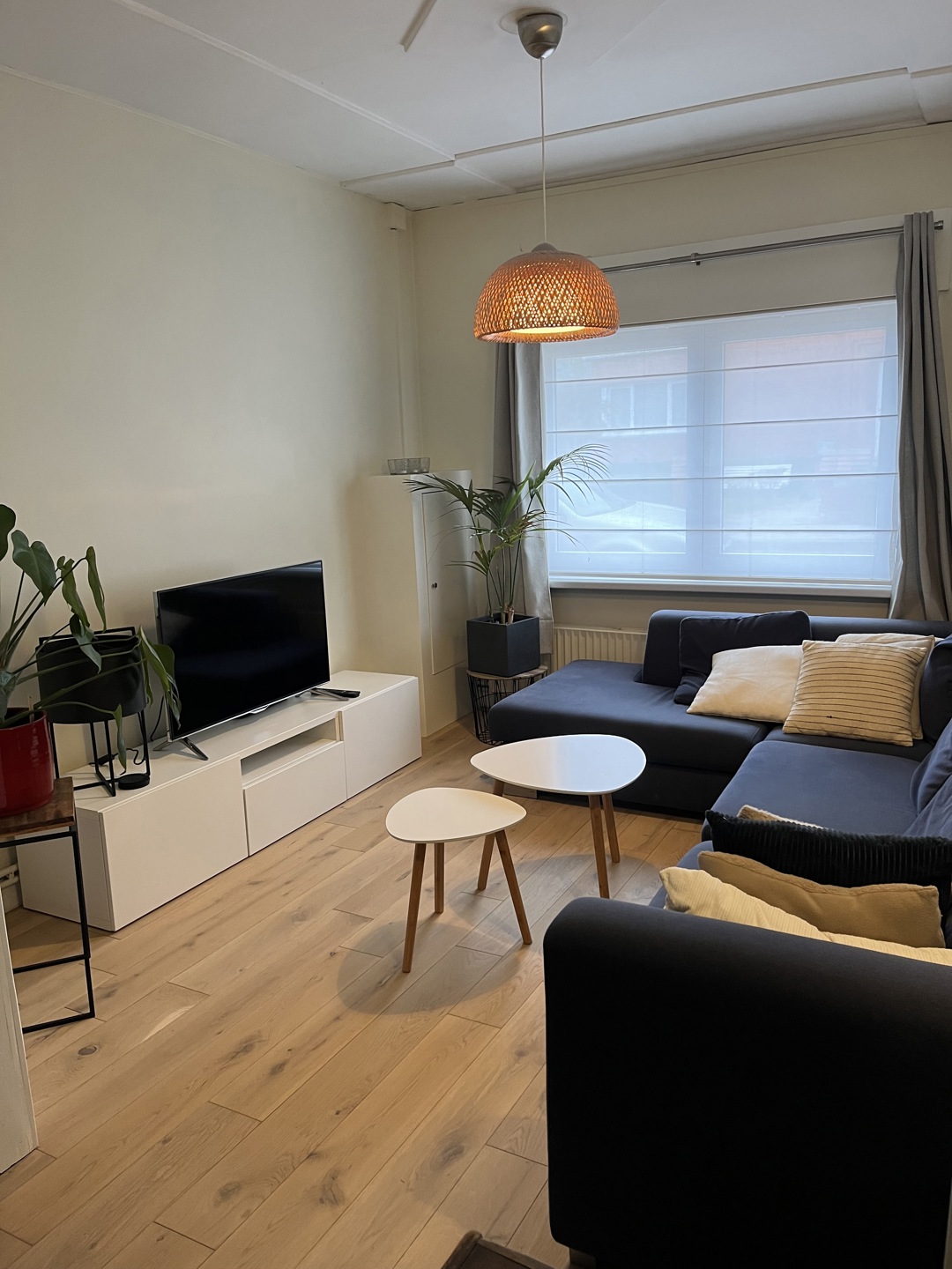 Ruime woning met 2 slaapkamers en een buitenruimte - foto 3