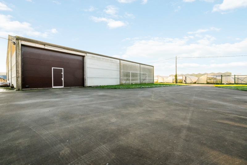 Staden. RUIME VILLA MET POTENTIEEL + loods van 435 m2 + loods van 515 m2 . Totaal perceel met tuinen en vijver = +/- 9000m2. Ideaal opbrengsteigendom en eigen gebruik. - foto 5