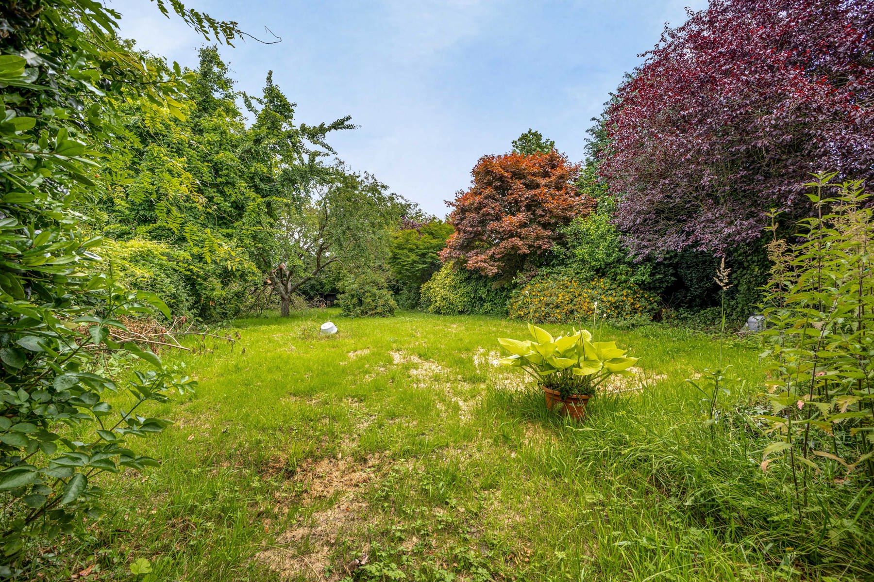 House for sale in Sint-Pieters-Leeuw with 2 bedrooms - photo 4