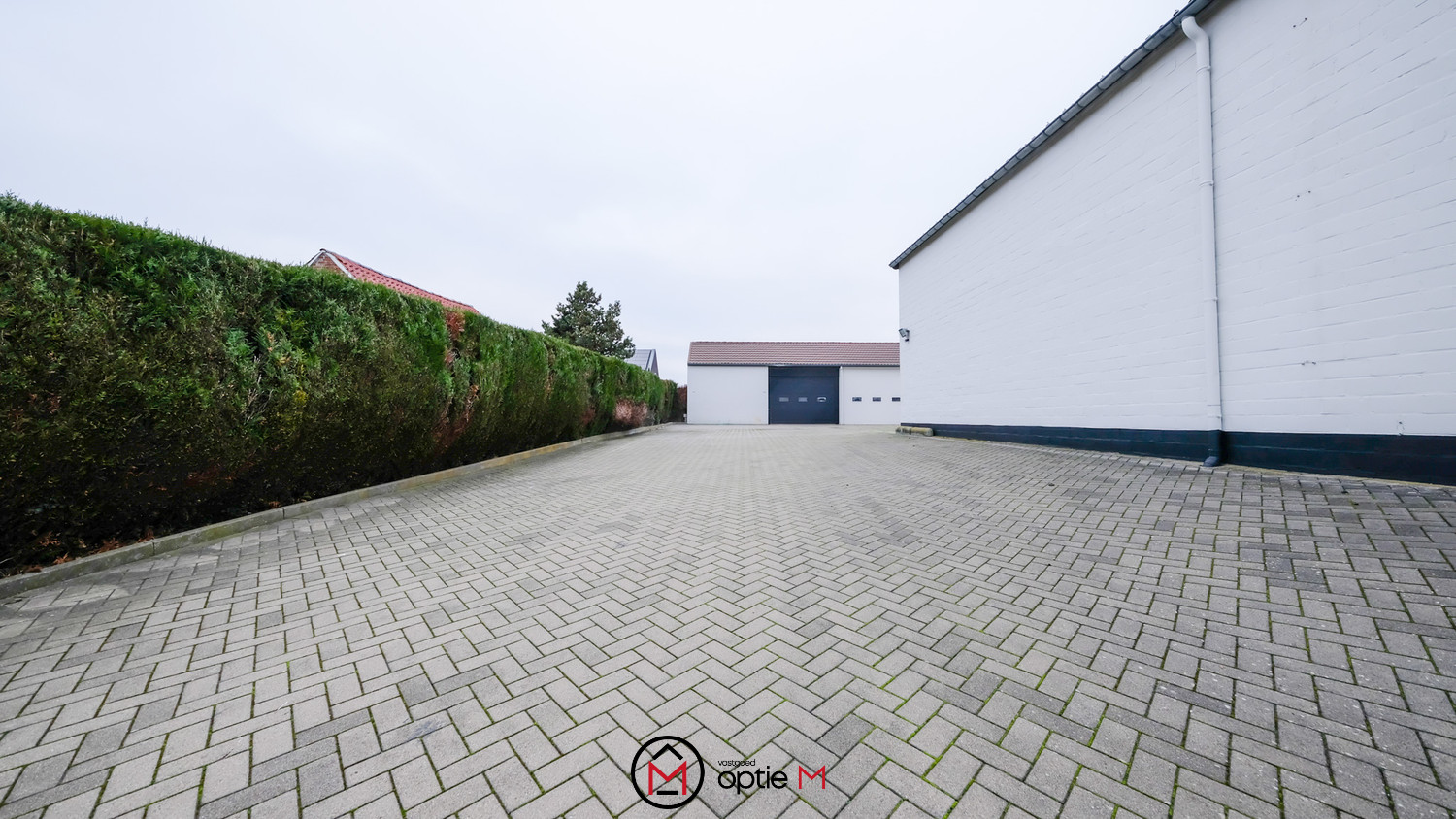 Commercial à vendre à Veldwezelt - photo 4