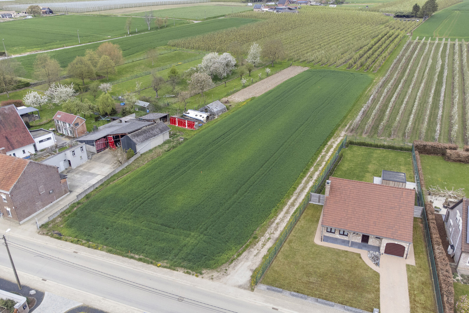 MOOI GELEGEN BOUWGRONDEN IN GLABBEEK  (LOT1) - foto 5