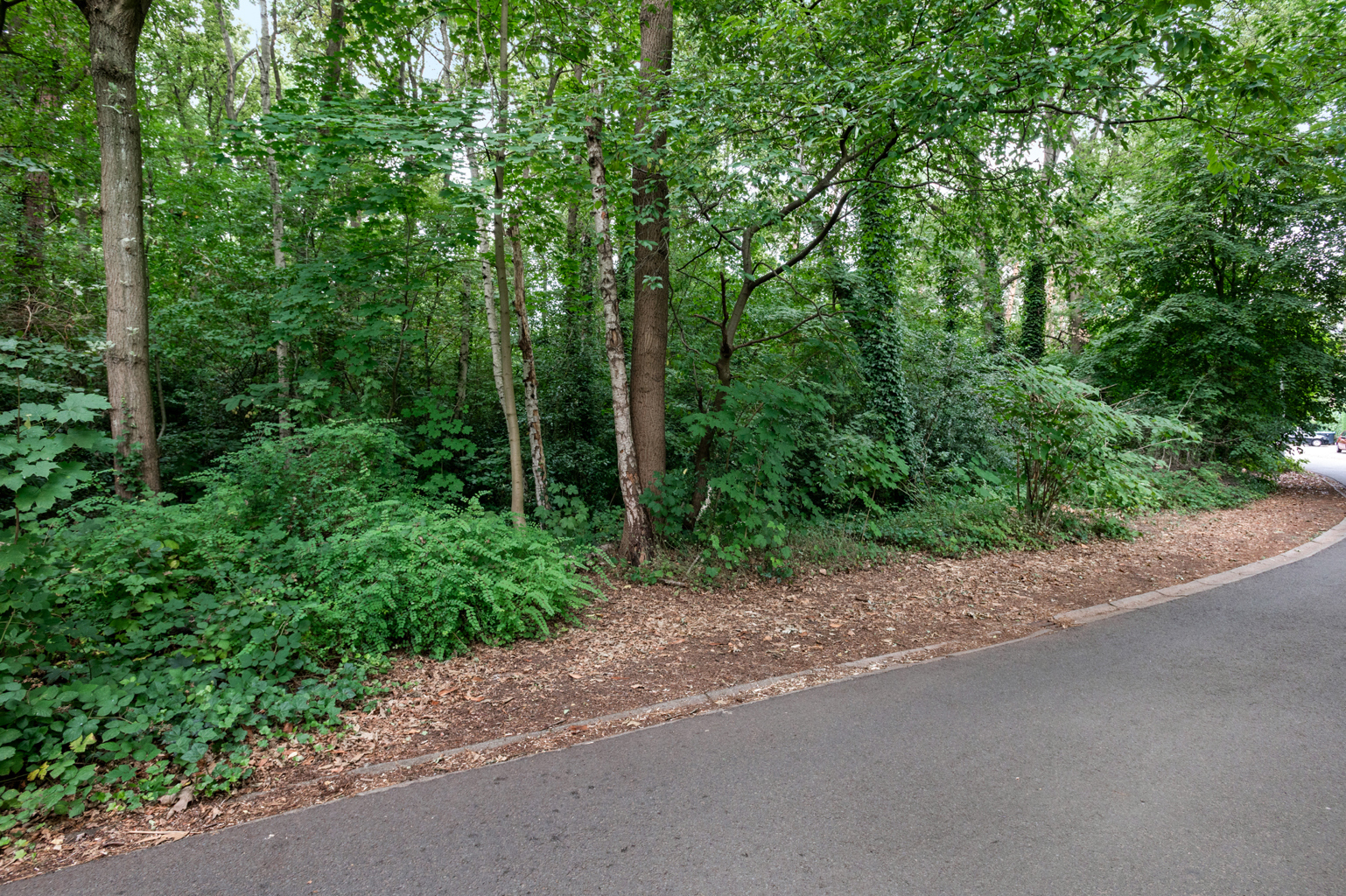 Land for sale in Schoten - photo 3