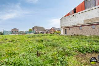 Bouwkavel gelegen te Hoeselt, Morgenstraat .<br /><br />Rustige en landelijke locatie op 3 km van het centrum van Hoeselt. Omliggende steden zoals Hasselt, Genk en Diepenbeek zijn vlot bereikbaar via de oprit van de E313 gelegen op enkele autominuten.<br /><br />Deze bouwkavel lot 2 is gelegen in een residentiële omgeving, in een autoluwe straat en is geschikt voor een gezinswoning in half vrijstaande bebouwing.<br />Dit vlakke perceel heeft een oppervlakte van 3A81CA en geniet een westelijke oriëntatie.<br />De perceelbreedte aan straatzijde bedraagt 12m53, aan de achterzijde (met uitsteek) 8m04 + 3m05. De perceeldiepte bedraagt enerzijds 31m52 en anderzijds 25m67.<br /><br />Volgende bouwvoorschriften zijn van toepassing:<br />- Hoofdbestemming ééngezinswoning. Nevenbestemming (max 40%) toegestaan indien complementair aan het wonen.<br />- Afstand perceelgrens is min 3m.<br />- Bouwbreedte bedraagt 9,47m.<br />- Bouwdiepte bedraagt 12m.<br />- Maximum 2 volwaardige bouwlagen.<br />- Dakvorm: hellend max 45° of plat. Eventuele gelijkvloerse meerdiepte verplicht plat dak.<br />- Vloerpeil: max 0,3m boven de as van voorliggende weg.<br />- Hellend dak kroonlijsthoogte max 6,50m, plat dak randhoogte max 7m<br />- Nokhoogte max 11,50m<br />- De woningen moeten op elkaar aansluiten wat betreft inplanting, dakvorm, kroonlijst- of dakrandhoogte, dakhelling en gevelkleur.<br />- Carport: open constructie toegestaan in de zone voor zijtuinen, max oppervlakte 21m².<br />- Bijgebouw: één vrijstaand bijgebouw in de vorm van tuinhuis of terrasoverkapping.<br /><br />Voor meer info contacteer ons op 0473 79 29 30 of mail naar luc@vestio.com<br /><br />