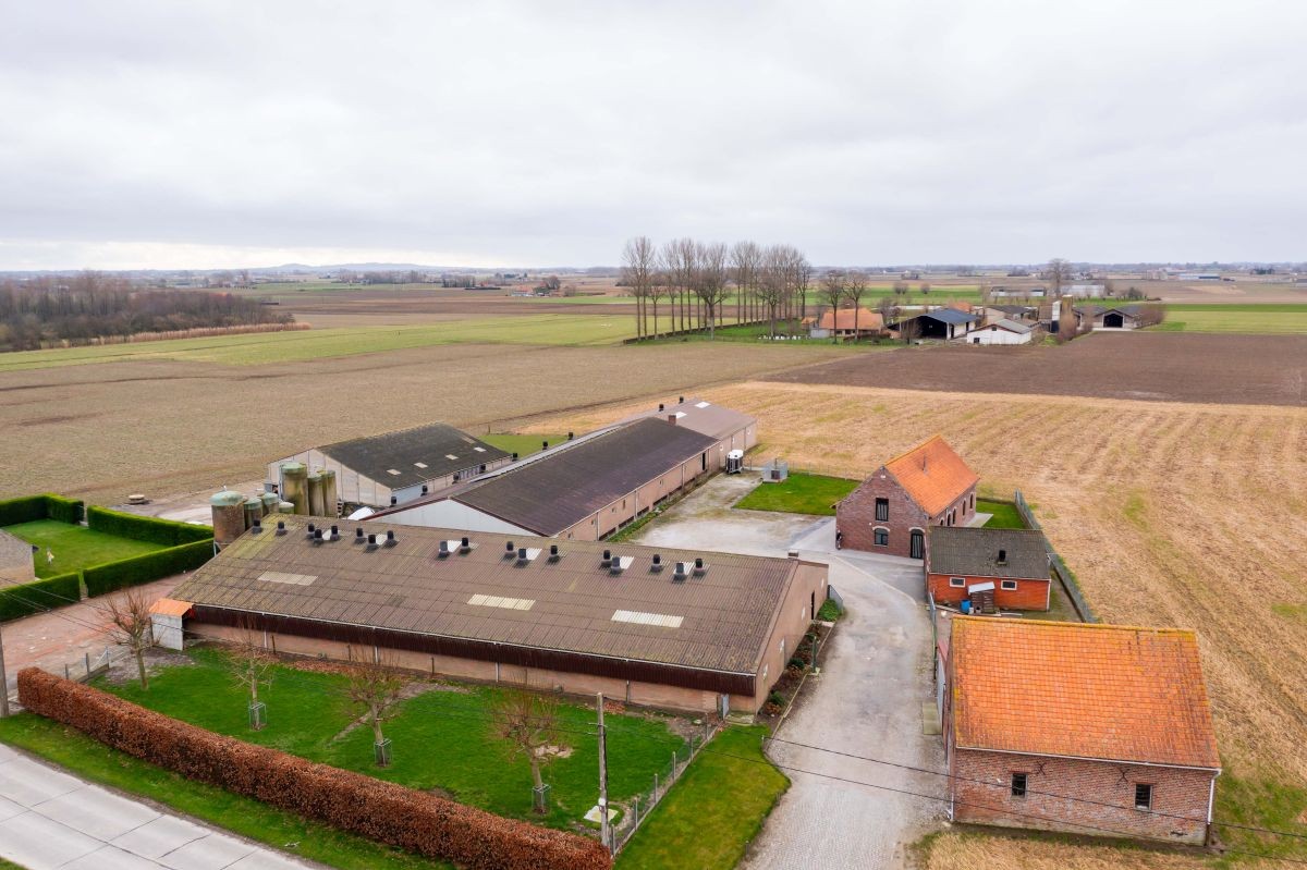 Varkensbedrijf te koop te Leisele - photo 1