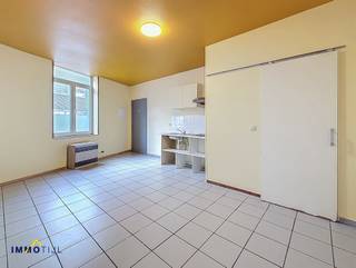 Dit gebouw bestaat uit een gezamenlijke inkomhal en 5 studio's (vergund).Elke studio beschikt over een eigen keuken, badkamer en...