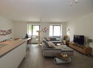 Appartement à louer à Boortmeerbeek