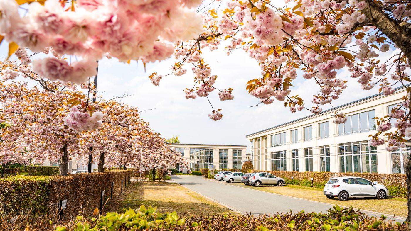 853 m² de bureaux élégants près de Leuvensesteenweg - photo 1